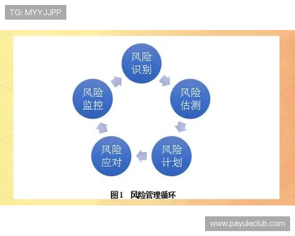 深入了解ag盘口的操作流程与风险控制策略 深入了解ag盘口的操作流程与风险控制策略