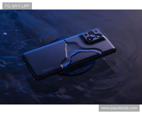 凯发娱乐网页版登录入口安全稳定，轻松畅玩多款热门游戏体验升级