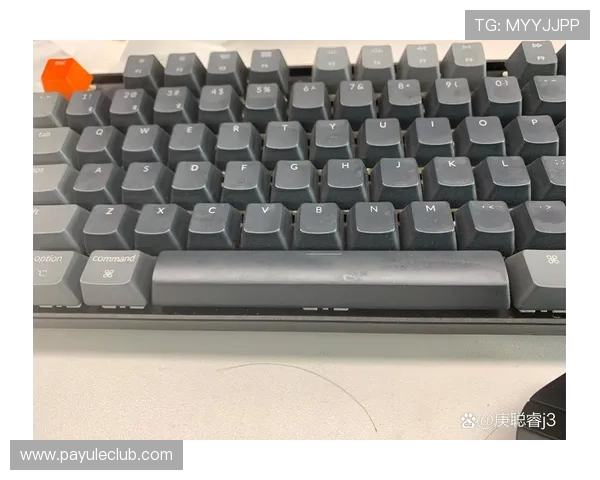 K8视讯平台最新功能介绍：多样化游戏内容与高效用户体验提升方案