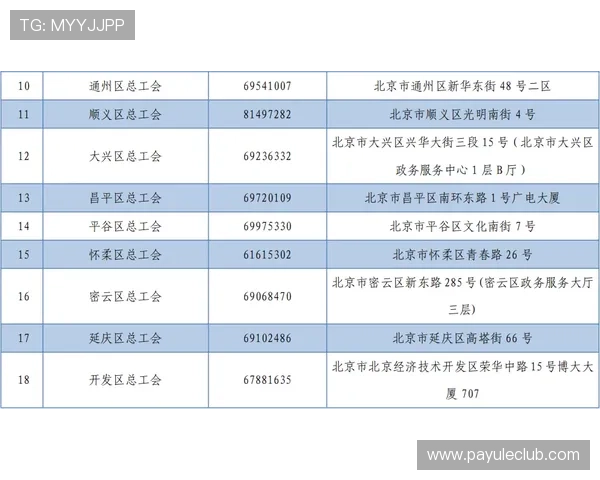 北京赛车pk拾奖金分配方案解析，合理规划投注策略获胜